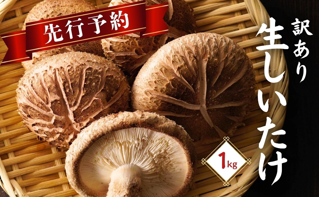 
                  【先行予約・訳あり 生しいたけ】 大分県産 しいたけ 津久見で育てた肉厚 生しいたけ 1㎏ | しいたけ生 生椎茸 しいたけステーキ 干椎茸 菌床しいたけ きのこ ギフト 国産 産地直送 津久見市 
                
