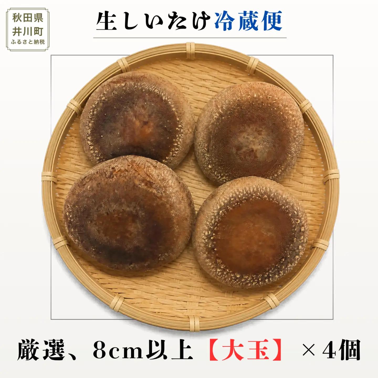 生しいたけ 厳選大玉 4個  菌床 しいたけ シイタケ 高級