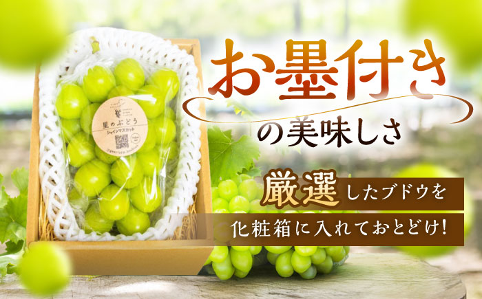 【2025年先行予約】【数量限定】【贈答用】旬の味わいを産地直送で！シャインマスカット 1房（約500g）秀品・化粧箱入り 島根県雲南市/ギアファーム [AIAB003]