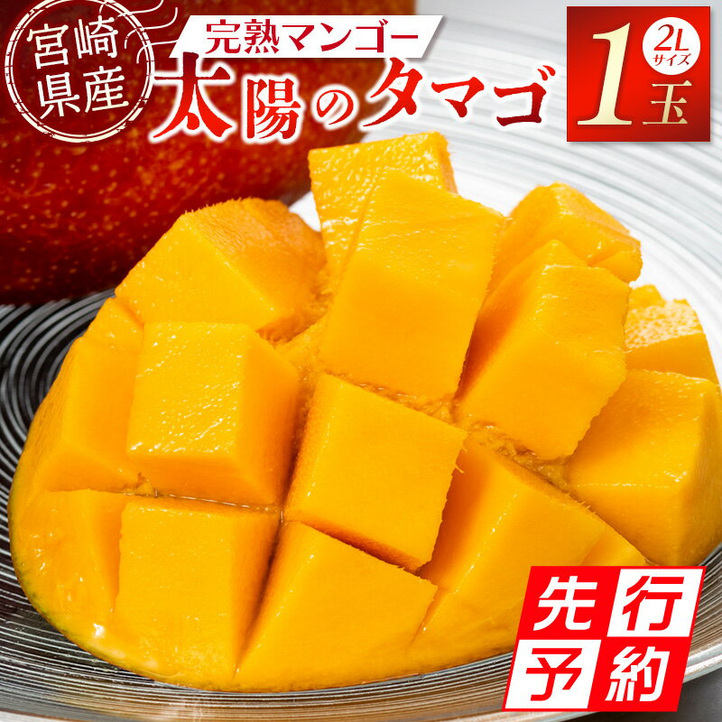 【ふるさと納税】《2025年発送先行予約》【期間・数量限定】宮崎特産品 宮崎県産完熟マンゴー 太陽のタマゴ 2L×1個 マンゴー 完熟マンゴー 完熟 果物 フルーツ デザート スイーツ 果肉 南国フルーツ 特産品 名物 ご当地グルメ グルメ お取り寄せ 宮崎県 宮崎市 送料無料