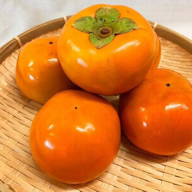 和歌山秋の味覚　富有柿　約4kg　化粧箱入【uot703】