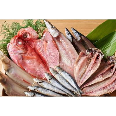 ふるさと納税 京丹後市 【先行予約/訳あり!店主厳選!高リピート】旬のおまかせ絶品干物詰め合わせセット 4種 ワケアリひもの |  | 01