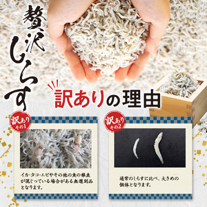 生しらす 400g 訳あり しらす干し 1kg セット 冷凍 刺身 真空パック 山庄