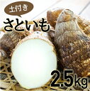 【ふるさと納税】四万十町産「土付きさといも」2.5kg Fiz-A03 農産物 新鮮 里芋 里いも 野菜