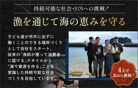 今治産しまなみわかめ 1袋 [V002520]