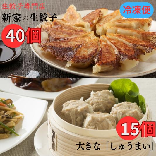 【ふるさと納税】 生餃子専門店「新家」生餃子 特大 しゅうまい セット 餃子 40個 しゅうまい 15個 冷凍餃子 冷凍焼売 ぎょうざ ギョーザ 焼売 冷食 冷凍食品 惣菜 おかず 中華 ゼロックス 岐阜県 大垣市
