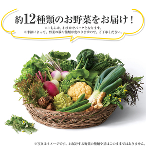 下野市産 エビベジ季節の野菜詰め合わせ（大）  | 野菜 詰め合わせ セット 新鮮 栃木県 特産品 下野市 しもつけ市
