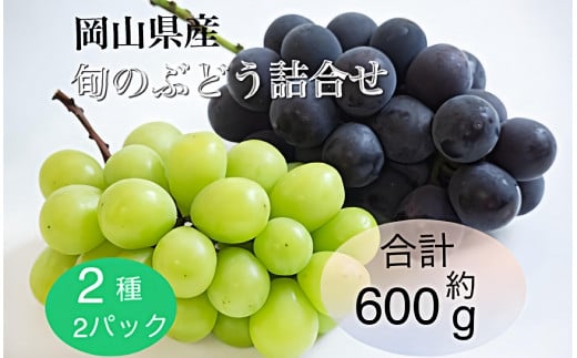 岡山県産 旬のぶどう詰合せ 2種 2パック(ニューピオーネ1房 約300g×1P・シャインマスカット晴王1房 約300g×1P)セット