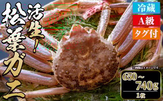 ＜土日祝着※指定日不可＞＜期間限定＞＜11月中旬～3月中旬発送予定＞松葉ガニ 活生(650〜740g・1枚)【sm-DD045-B】【Workplays】