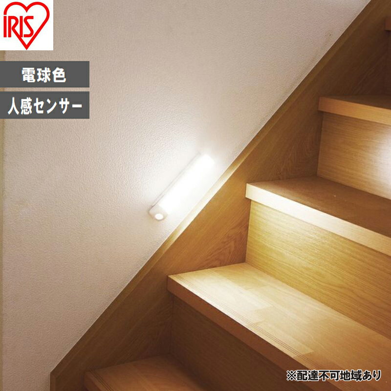 【ふるさと納税】照明 乾電池式LEDセンサーライト ウォールタイプ 電球色 BSL40WL-WV2 アイリスオーヤマ センサーライト 電池式 乾電池式 人感センサー 室内 LEDセンサーライト LED ライト 廊下 寝室 物置 防犯