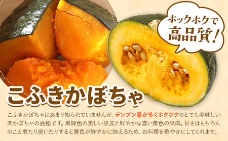 こふき かぼちゃ 南瓜 約10kg 6~8玉 《2026年9月下旬-10月下旬頃出荷》高橋賢三 送料無料 北海道 本別町 北海道 十勝 本別町産 かぼちゃ 栗かぼちゃ パンプキン ホクホク 野菜