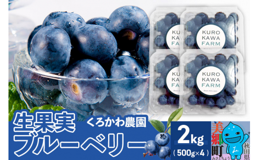 
くろかわ農園 ブルーベリー 2kg（500g×4パック）
