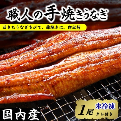 【焼きたて即出荷】職人の手焼き　活〆うなぎ蒲焼1尾入(中骨・肝付)国産/未冷凍　本物の肝吸いをお届け【配送不可地域：離島・北海道・沖縄県・東北】【1513608】