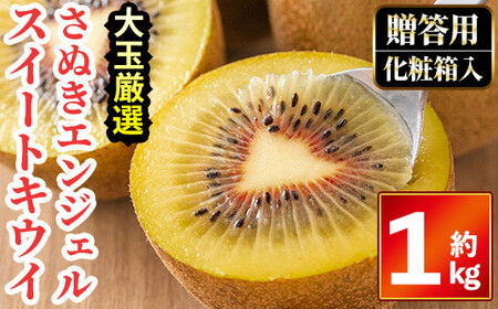 ＜先行予約！2026年11月中旬以降順次発送予定＞《贈答用・大玉厳選》さぬきエンジェルスイートキウイ(約1kg・化粧箱) 国産 果物 フルーツ キウイフルーツ 【man065】【Aglio nero】