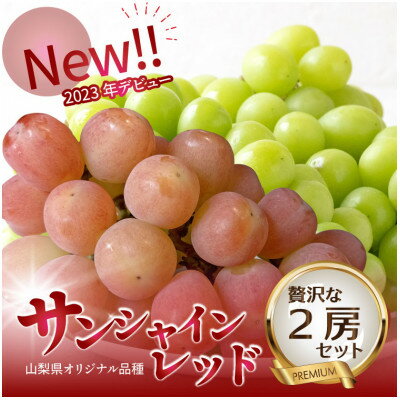 【ふるさと納税】2026年発送【数量限定】希少な新品種サンシャインレッドと大人気シャインマスカットの贅沢2房セット【配送不可地域：離島・沖縄県】【1688207】