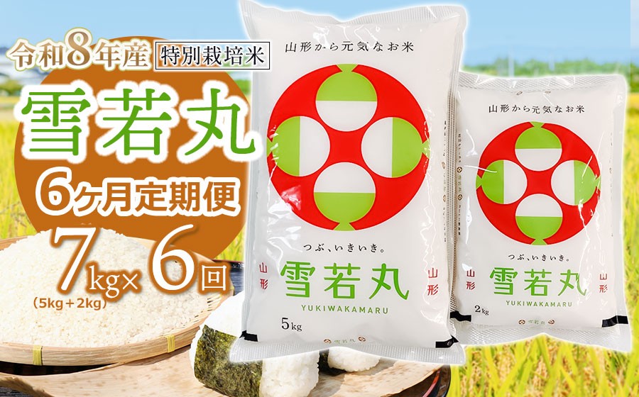 
                  【令和8年産 新米】 特別栽培米雪若丸 精米 7kg (5kg+2kg) ×6ヶ月【定期便】 山形県鶴岡産　鶴岡協同ファーム
                