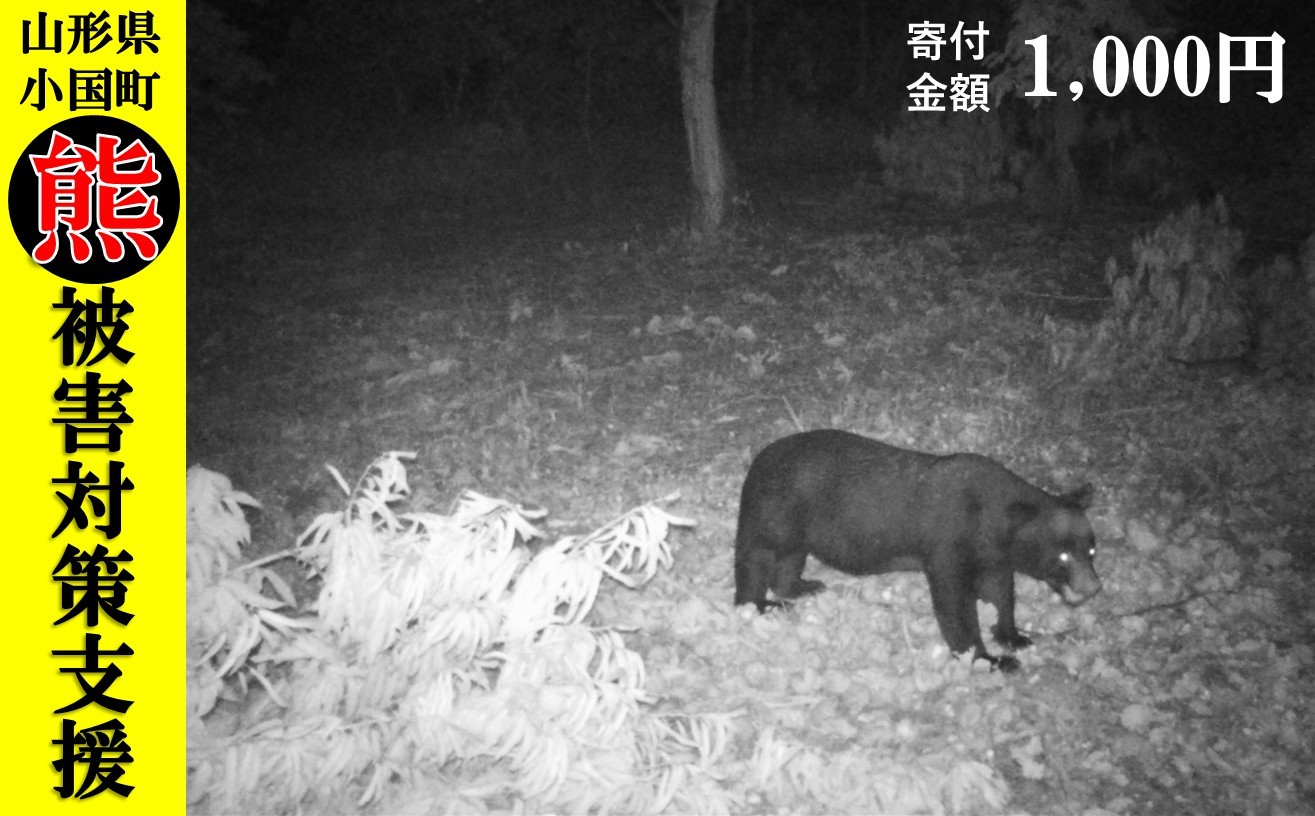 
                  【返礼品なし】熊被害対策支援（山形県小国町）1,000円
                