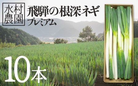 《先行予約》飛騨の根深ネギ プレミアム ねぎ 10本 水村農園 ネギ