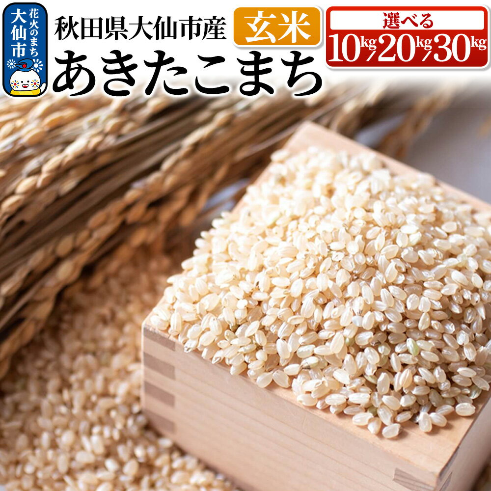 【ふるさと納税】新米 米【令和7年産】あきたこまち 玄米【選べる 10kg／20kg／30kg】秋田県大仙市産