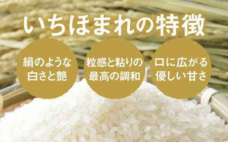 令和7年産 いちほまれ 無洗米 5kg(5kg×4袋) ブランド米 白米 [F-014011]