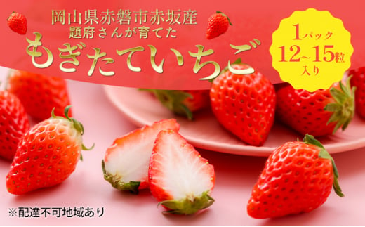
題府さんが育てた もぎたて いちご 1パック 12～15粒入り 岡山県 赤磐市 赤坂産 イチゴ 苺 果物 フルーツ
