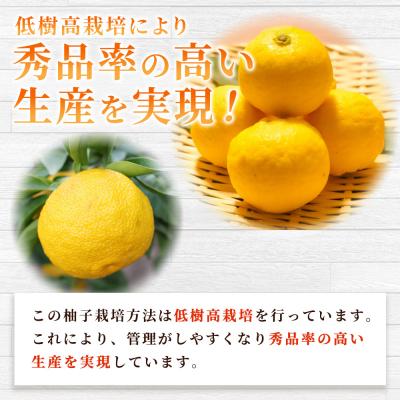 ふるさと納税 西予市 柚子 良 Sサイズ (24個入り) × 3箱> 約6kg ゆず ユズ 国産 柑橘 |  | 02