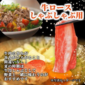 しゃぶしゃぶ 牛肉 ロース 300g 北海道 士別市産 【まちづくり士別】 B7012