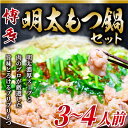 【ふるさと納税】【毎月定期便】博多明太もつ鍋セット　3～4人前全6回【配送不可地域：離島】【4009455】