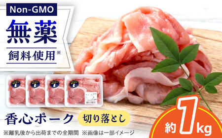 『香心ポーク』切り落とし 約250g×4パック（計約1kg）豚肉切り落とし [AYCK024]