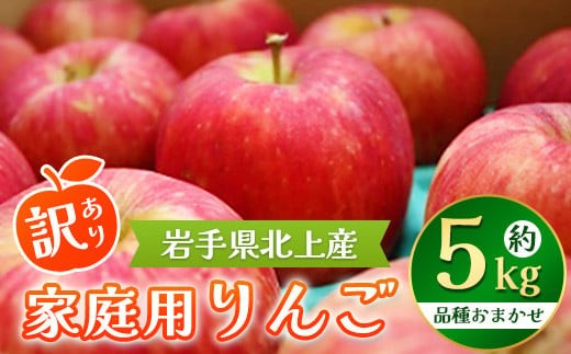 
                  りんご 約 5kg 北上産 岩手県産 リンゴ 林檎 黄王 つがる ジョナゴールド 星の金貨 スリムレッド ふじ フジ シナノゴールド 王林 冷蔵 季節限定 数量限定 お試し 食べきり 岩手県 北上市 D0491 北上の八百屋 P&Cリンク 農家支援品
                