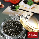 【ふるさと納税】HEIKE CAVIAR 椎葉産 キャビア 合計120g～500g【SZ-126】|送料無料 キャビア 人気 国産 チョウザメ プレゼント 魚介 魚卵 珍味 世界三大珍味 加工品 冷凍 高級 贅沢 お取り寄せ ディナー パーティー おつまみ グルメ ギフト お祝い 贈り物 希少 産地直送|