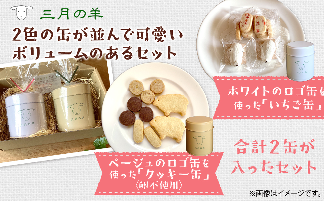 ロゴ缶2種付きクッキー NABX001