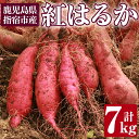 【ふるさと納税】鹿児島県指宿産さつまいも！紅はるか(約7kg) 鹿児島 さつまいも さつま芋 サツマイモ 紅はるか スイーツ おやつ デザート お菓子 常温 常温保存【アグリスタイル】