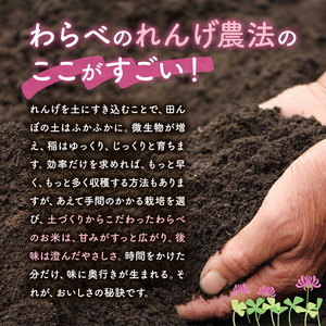 熊本県菊池市産のれんげ米 5kg 《30日以内に出荷予定(土日祝除く)》  精米方法 精米 お米 白米 レンゲ米 熊本県産 九州産 送料無料