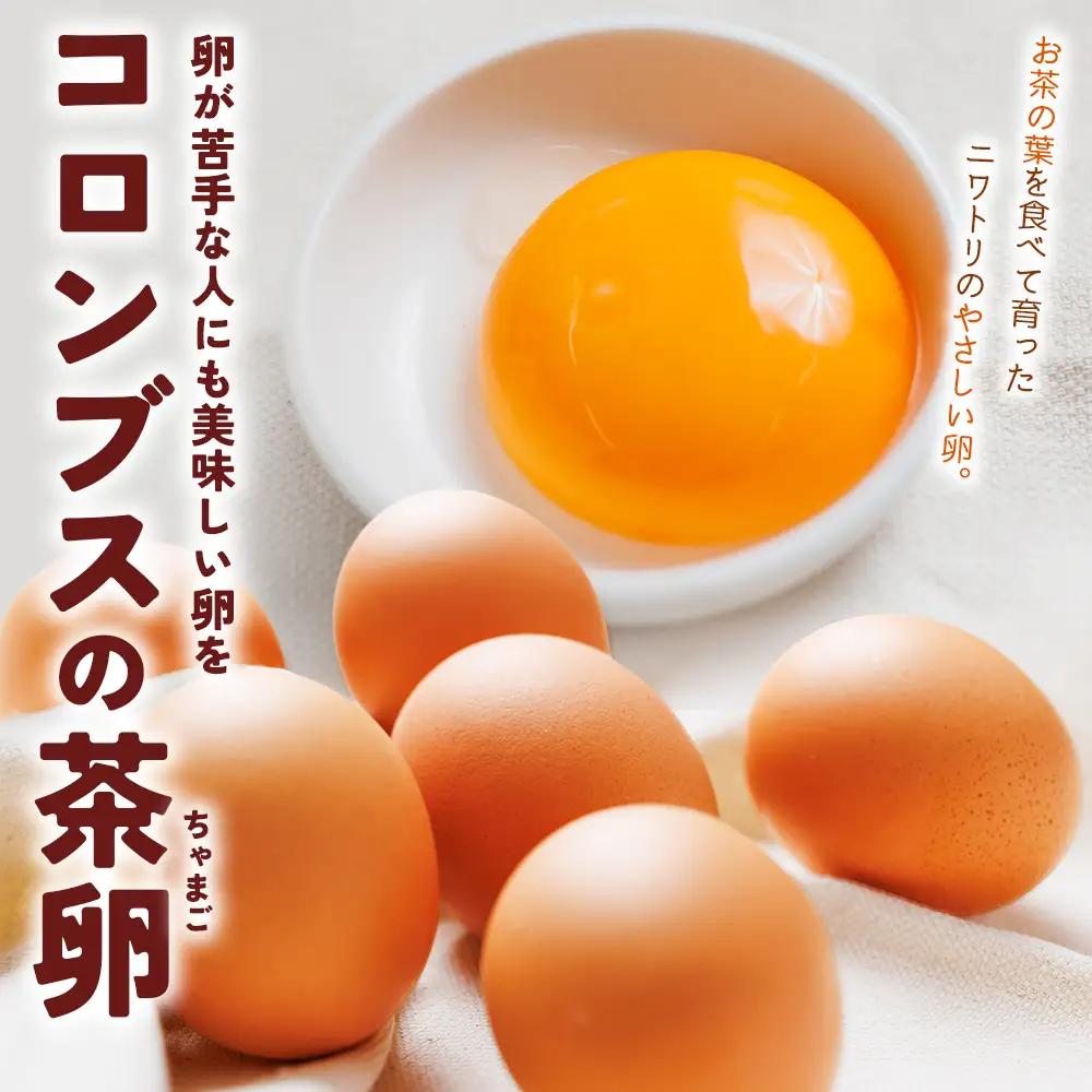 たまご コロンブスの茶卵 6個入×5P 卵が苦手な子どもも食べられた！ kl-0004