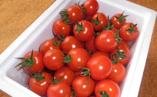 川辺川育ち ミニトマト 1.2kg