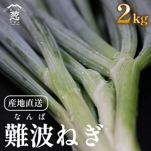 《先行予約》11月配送 難波葱 2kg ねぎ 葱 鍋 青ねぎ 白ねぎ 野菜 旬 やさい 産地直送 採れたて 直送 フルーツ 果物 と同糖度 なにわ 伝統野菜 鍋セット 河内 大阪府 松原市 ねぎ 葱 ねぎ 葱 ねぎ 葱 ねぎ 葱 ねぎ 葱 ねぎ 葱 ねぎ 葱 ねぎ 葱 ねぎ 葱 ねぎ 葱 ねぎ 葱 ねぎ 葱 ねぎ 葱 ねぎ 葱 ねぎ 葱 ねぎ 葱 ねぎ 葱 ねぎ 葱 ねぎ 葱 ねぎ 葱 ねぎ 