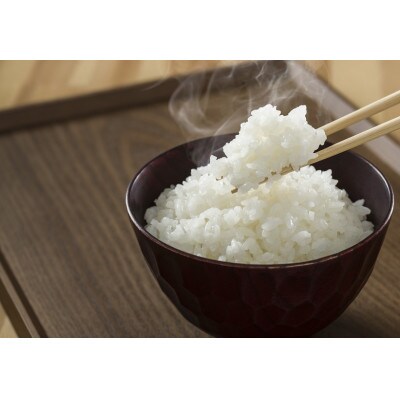 【発送月固定定期便】湯川村産コシヒカリ 精米10kg(R8.11月・12月・R9.1月-4月)全6回