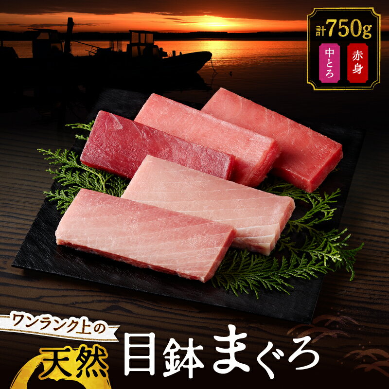 【ふるさと納税】 ワンランク上の天然目鉢鮪 中とろ 赤身 セット 750g まぐろ マグロ 鮪 メバチマグロ 天然 刺身 柵 魚 魚類 三崎 三崎港 丸福水産 神奈川 三浦市 おすすめ ランキング プレゼント ギフト