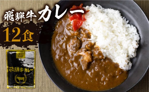 【2月発送】飛騨牛カレー (12袋) カレー ビーフカレー 簡易包装  レトルトカレー ふるさと清見 DC006VC02