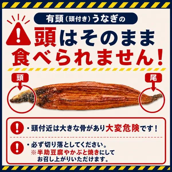 【6回 定期便】 高知県産うなぎ 白焼 蒲焼 セット 各2尾