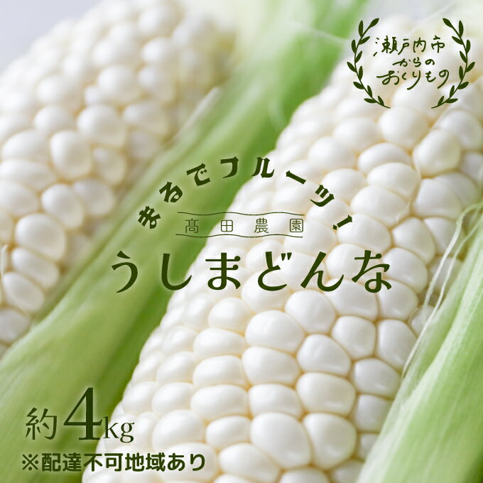 【ふるさと納税】 ［2026年先行予約］ 牛窓産とうもろこし まるでフルーツ！ 生で甘い、茹でて美味い！ 白色とうもろこし 「うしまどんな」約4kg（8〜12本入り） 野菜 夏野菜 夏野菜 とうもろこし トウモロコシ おやつ 間食 お弁当 お届け：2026年6月下旬〜2026年8月下旬