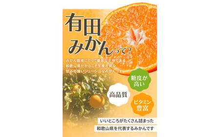【2026年10月発送予約分】＼光センサー選別／ 【農家直送】【家庭用】こだわりの有田みかん 約2kg 先行予約 有機質肥料100% サイズ混合 【10月発送】みかん ミカン 有田みかん 温州みかん 