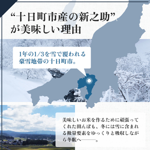 【令和5年産定期便】魚沼産　新之助　【定期便】精米2kg×3回