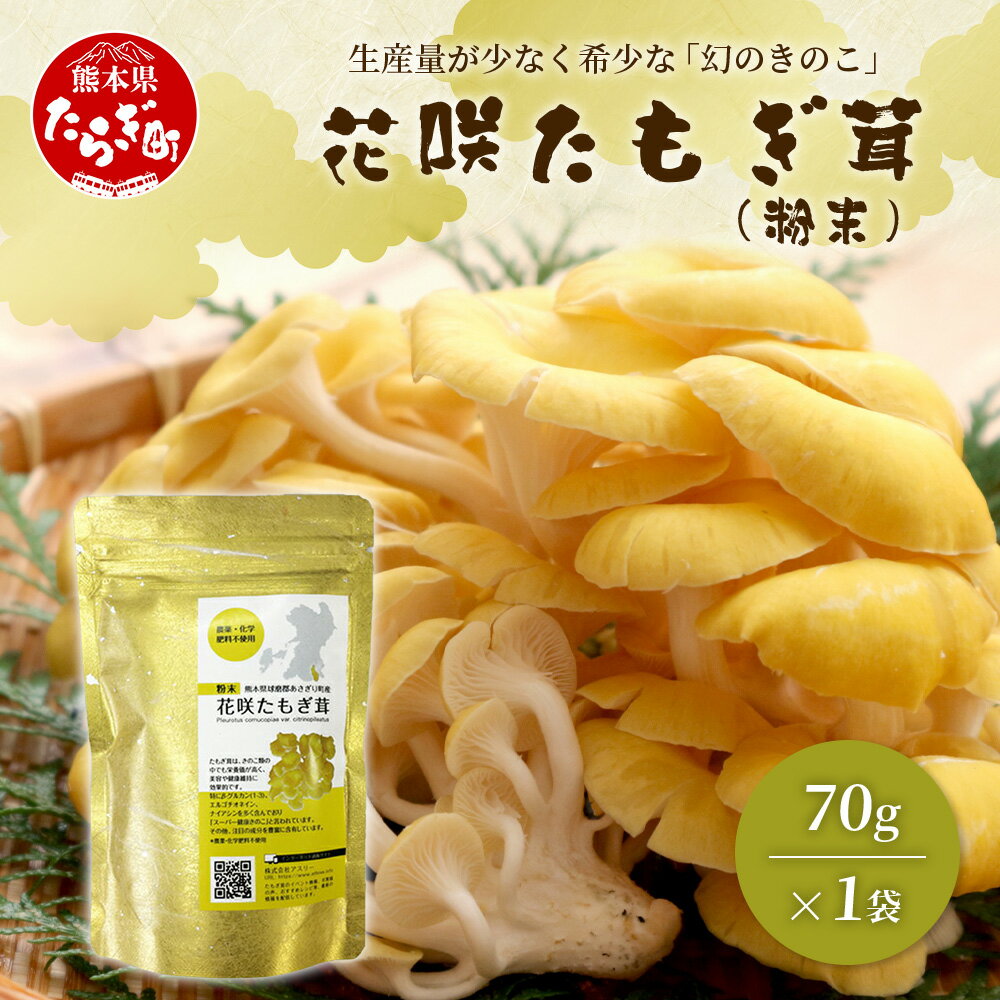 【ふるさと納税】無農薬栽培【花咲 たもぎ茸 (粉末) 70g 】幻 キノコ タモギダケ ヒラタケ 健康 栄養豊富 出汁 だし 健康 栄養豊富 たもぎ 熊本県 多良木町 熊本産 国産原料 健康維持 食物繊維 天然素材 送料無料