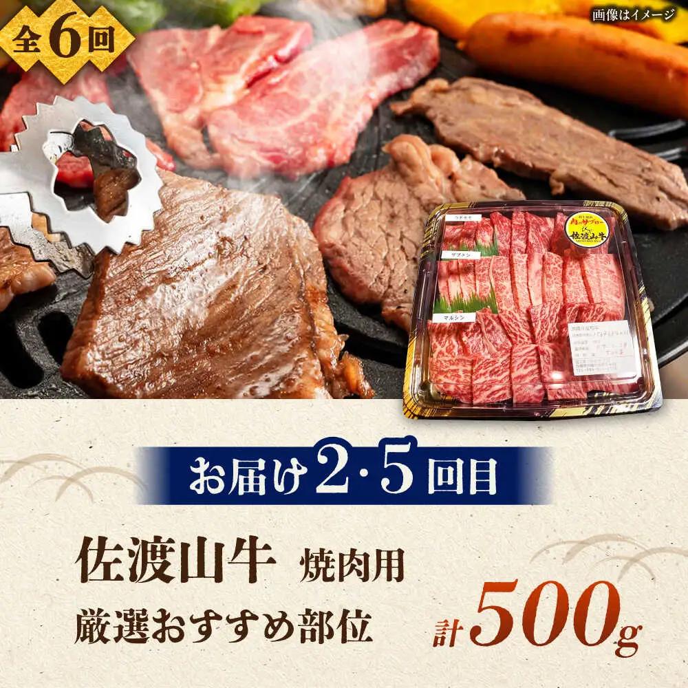 【全6回定期便】沖縄ブランド牛を堪能！贅沢お肉定期便【沖縄市】牛肉 和牛 サーロインステーキ 焼肉 赤身 沖縄市 / 肉のサブロー / お肉屋本店[BCZZ028]