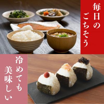 ふるさと納税 小浜市 【毎月定期便】いちほまれ白米10kg全3回 |  | 03