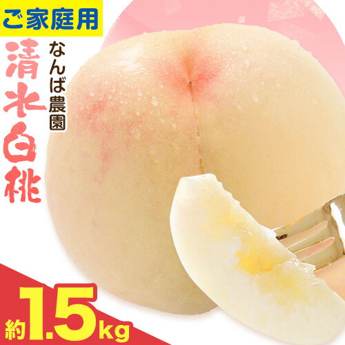 【ふるさと納税】 【2026年先行予約】ご家庭用 清水白桃 約1.5kg ( 6玉 前後 ) 《2026年7月上旬-7月下旬頃出荷》なんば農園 岡山県 浅口市 フルーツ モモ 果物 青果 旬 白桃 桃 訳アリ わけあり 訳あり【配送不可地域あり】