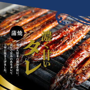 うなぎの蒲焼　２尾セット（特大サイズ　一尾　１７０g?２００g）_Cu001_うなぎ 蒲焼 2尾 セット 特大サイズ 一尾１７０g～２００g  たれ付き 鰻専門問屋 樋口商店 真空パック ギフト お取