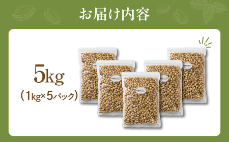 【12回定期便】素焼き ピスタチオ 計5kg （1kg × 5袋）  無塩 ナッツ | ピスタチオ 